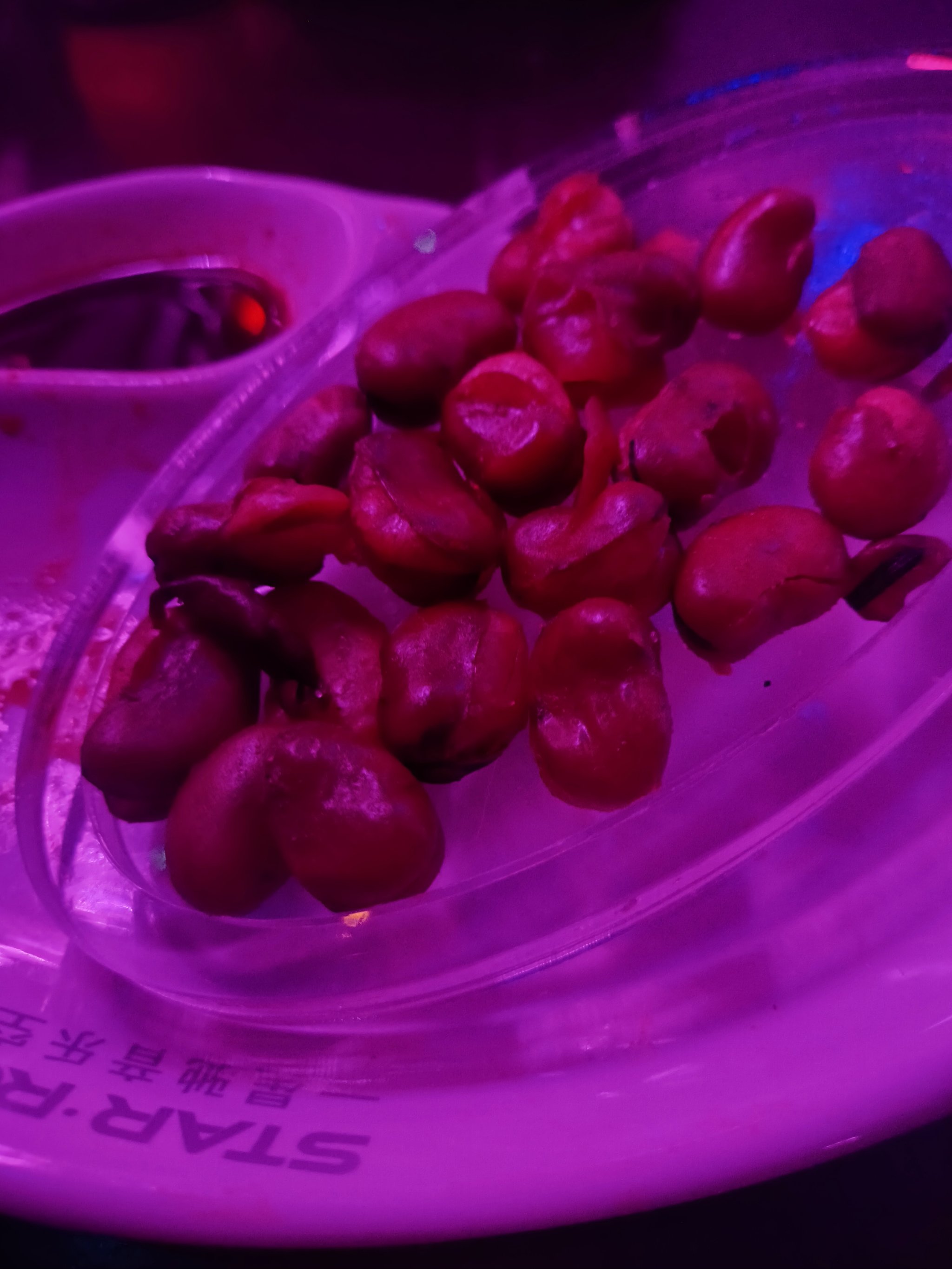 邵阳商务ktv哪里有最佳选择-洞口县ktv预订